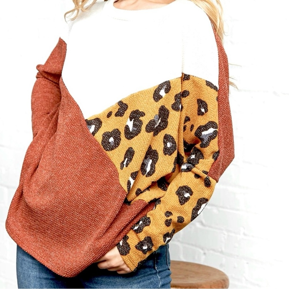 Leopard Print Color Block Sweater - image 1